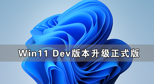 Win11Dev汾(j)ʽ᣿