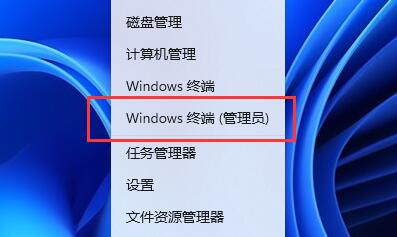 Win11Ƭ鿴W˽QWin11Ƭ鿴W˽Q