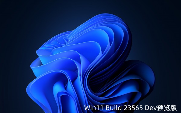 Win11 Build 23565 Dev A(y)[l(f)΄(w)@ʾ Copilot D(bio)Ԕ