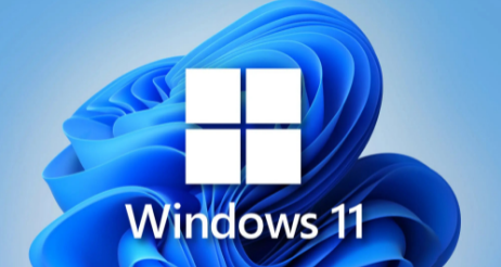 win11ȫӠB(ti)ô_Win11ȫӠB(ti)_N̳