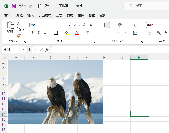 Excel2021ôһֻDƬ5